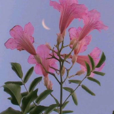hth体育平台官网